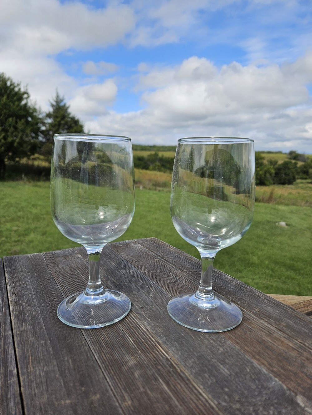 Set of 2 Clear Glass Wine Goblets Short Stem All Purpose Water Glasses 8oz